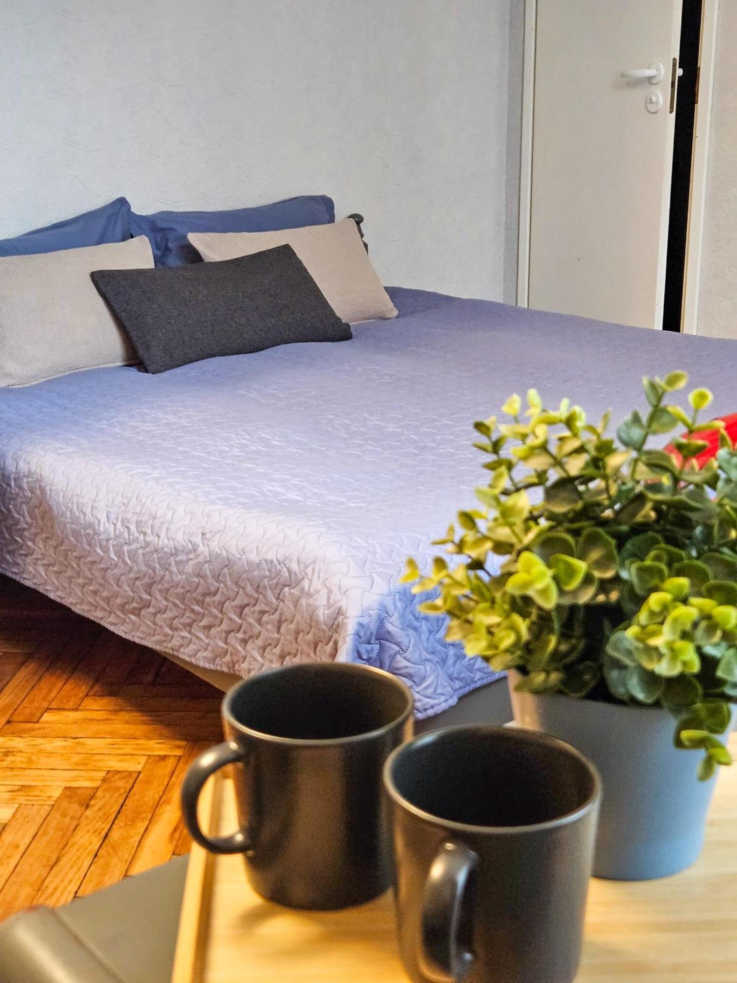 Muzeja Apartamenti ريغا المظهر الخارجي الصورة