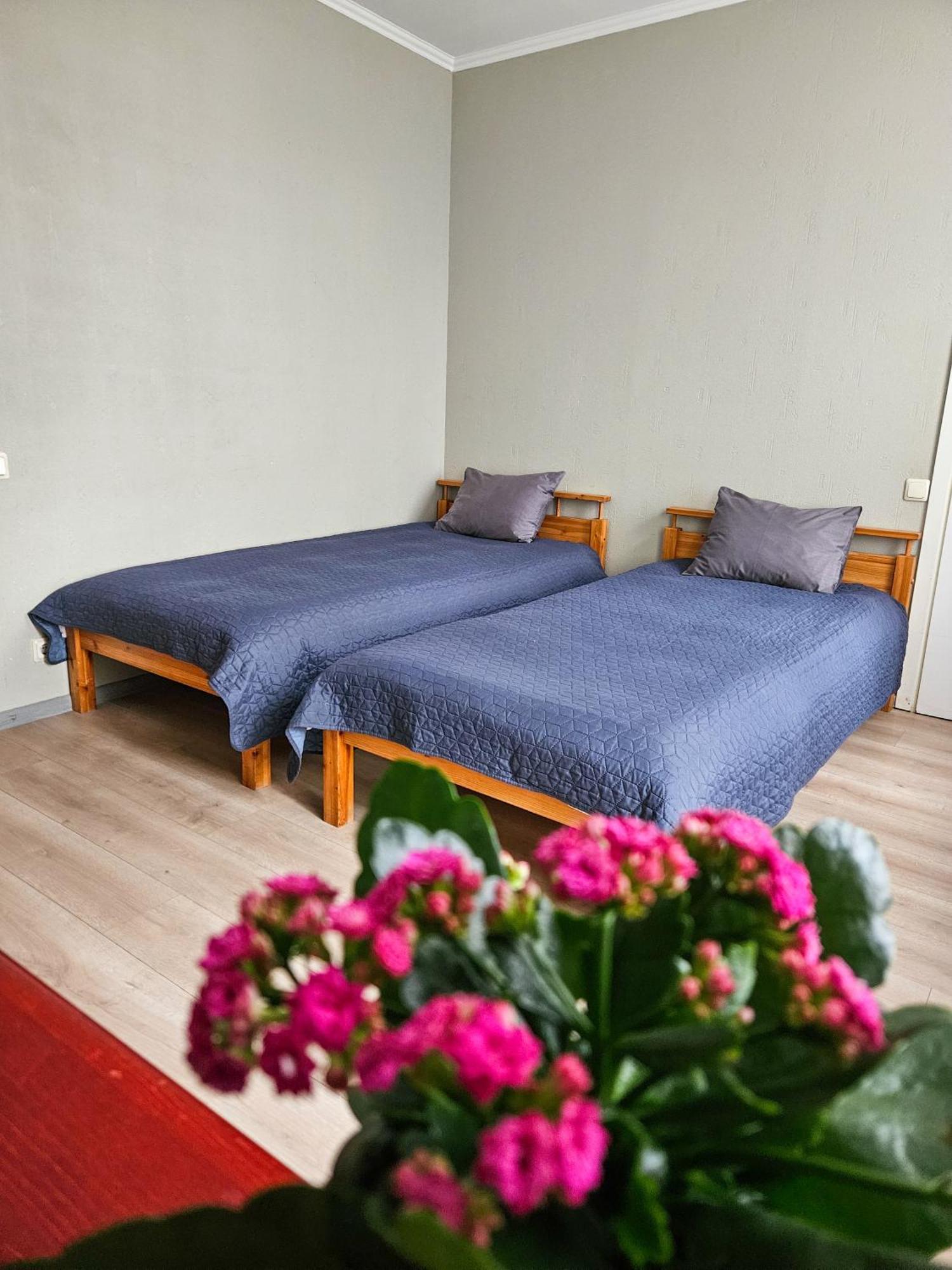 Muzeja Apartamenti ريغا المظهر الخارجي الصورة